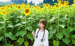 阿离掀开自己副乳的图片